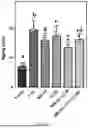 Fig. 02 - BIFIDOBACTERIUM BREVE FOR IMPROVING AGING-RELATED COGNITIVE DISORDER AND USE THEREOF