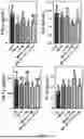 Fig. 07 - BIFIDOBACTERIUM BREVE FOR IMPROVING AGING-RELATED COGNITIVE DISORDER AND USE THEREOF