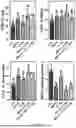 Fig. 08 - BIFIDOBACTERIUM BREVE FOR IMPROVING AGING-RELATED COGNITIVE DISORDER AND USE THEREOF