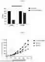 Fig. 06 - ONCOLYTIC VIRUS SIMULTANEOUSLY EXPRESSING CD55 AND CD59