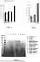 Fig. 02 - PLANT-DERIVED COMPOSITIONS THAT MODULATE CELLULAR IMMUNITY