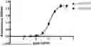 Fig. 01 - SPRAY DRIED FORMULATION OF A CHOLERA TOXIN B SUBUNIT VARIANT
