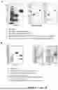 Fig. 02 - NOVEL METHODS OF TREATING NEUTORPENIA USING G-CSF PROTEIN COMPLEX