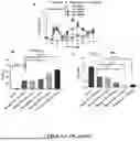 Fig. 06 - NOVEL METHODS OF TREATING NEUTORPENIA USING G-CSF PROTEIN COMPLEX