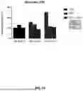 Fig. 45 - ENHANCED DIFFERENTIATION OF BETA CELLS