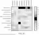 Fig. 06 - METHOD OF AMELIORATING A PRO-INFLAMMATORY IMMUNOPHENOTYPE IN FARBER DISEASE SUBJECTS BY REPEATED ADMINISTRATION OF A RECOMBINANT HUMAN ACID CERAMIDASE