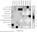 Fig. 09 - METHOD OF AMELIORATING A PRO-INFLAMMATORY IMMUNOPHENOTYPE IN FARBER DISEASE SUBJECTS BY REPEATED ADMINISTRATION OF A RECOMBINANT HUMAN ACID CERAMIDASE