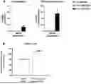 Fig. 01 - TOLEROGENIC COMPOSITION