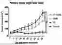 Fig. 01 - COMPOSITION FOR PREVENTING OR TREATING CANCER, AND METHOD FOR PREVENTING OR TREATING CANCER BY USING SAME, HAVING ABSCOPAL EFFECT