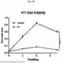 Fig. 04 - COMPOSITION FOR PREVENTING OR TREATING CANCER, AND METHOD FOR PREVENTING OR TREATING CANCER BY USING SAME, HAVING ABSCOPAL EFFECT