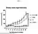Fig. 05 - COMPOSITION FOR PREVENTING OR TREATING CANCER, AND METHOD FOR PREVENTING OR TREATING CANCER BY USING SAME, HAVING ABSCOPAL EFFECT