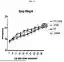 Fig. 09 - COMPOSITION FOR PREVENTING OR TREATING CANCER, AND METHOD FOR PREVENTING OR TREATING CANCER BY USING SAME, HAVING ABSCOPAL EFFECT