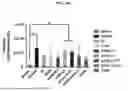 Fig. 15 - COMPOSITION FOR PREVENTING OR TREATING CANCER, AND METHOD FOR PREVENTING OR TREATING CANCER BY USING SAME, HAVING ABSCOPAL EFFECT