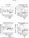 Fig. 22 - COMPOSITION FOR PREVENTING OR TREATING CANCER, AND METHOD FOR PREVENTING OR TREATING CANCER BY USING SAME, HAVING ABSCOPAL EFFECT
