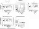 Fig. 23 - COMPOSITION FOR PREVENTING OR TREATING CANCER, AND METHOD FOR PREVENTING OR TREATING CANCER BY USING SAME, HAVING ABSCOPAL EFFECT