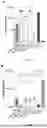Fig. 49 - CORONAVIRUS VACCINES AND METHODS OF USE THEREOF