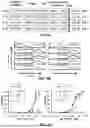 Fig. 06 - TARGETED CHIMERIC ANTIGEN RECEPTOR MODIFIED T CELLS FOR TREATMENT OF IL13Ralpha2 POSITIVE MALIGNANCIES