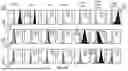 Fig. 07 - TARGETED CHIMERIC ANTIGEN RECEPTOR MODIFIED T CELLS FOR TREATMENT OF IL13Ralpha2 POSITIVE MALIGNANCIES