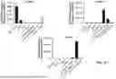 Fig. 09 - TARGETED CHIMERIC ANTIGEN RECEPTOR MODIFIED T CELLS FOR TREATMENT OF IL13Ralpha2 POSITIVE MALIGNANCIES