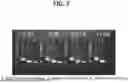 Fig. 03 - NOVEL BACILLUS VELEZENSIS STRAIN PRODUCING MORANOLINE AND USES THEREOF
