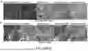 Fig. 45 - IMPROVED METHODS OF PREPARING DIFFERENT MESODERM CELL TYPES
