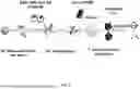 Fig. 06 - GENERATION OF CTL LINES WITH SPECIFICITY AGAINST MULTIPLE TUMOR ANTIGENS OR MULTIPLE VIRUSES