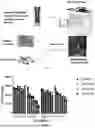 Fig. 02 - 3D Bioprinted Tissues and Screening Assays Therewith