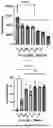Fig. 04 - 3D Bioprinted Tissues and Screening Assays Therewith