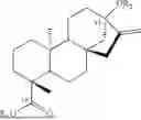 Fig. 02 - ENGINEERED GLYCOSYLTRANSFERASES AND STEVIOL GLYCOSIDE GLUCOSYLATION METHODS