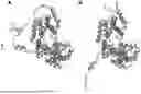 Fig. 02 - Protease-conditional targeted nucleic acid recombination, method and uses thereof