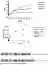 Fig. 02 - ENZYMES AND MICROBES FOR XANTHAN GUM PROCESSING