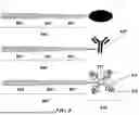 Fig. 09 - LIGATION DEPENDENT DUAL 3'/5' ASSAY FOR SPATIAL AND/OR SINGLE CELL APPLICATIONS