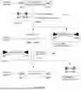 Fig. 22 - MODULAR GENETICALLY ENGINEERED CELL AND METHODS OF GENERATION THEREOF