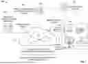 Fig. 02 - OPTIMIZED DELIVERY FOR SPHERICAL MEDIA CONTENT