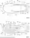 Fig. 03 - SOLE STRUCTURE FOR AN ARTICLE OF FOOTWEAR