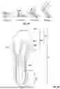 Fig. 20 - SOLE STRUCTURE FOR AN ARTICLE OF FOOTWEAR