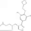 Fig. 19 - INHIBITION OF DIPEPTIDE REPEAT PROTEINS