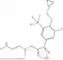 Fig. 20 - INHIBITION OF DIPEPTIDE REPEAT PROTEINS