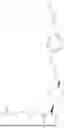 Fig. 50 - INHIBITION OF DIPEPTIDE REPEAT PROTEINS