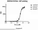 Fig. 07 - CD16A Antibodies and Methods of Use