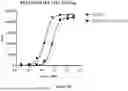 Fig. 10 - CD16A Antibodies and Methods of Use