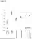 Fig. 07 - CELL CULTURE COMPOSITIONS WITH ANTIOXIDANTS AND METHODS FOR POLYPEPTIDE PRODUCTION