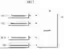 Fig. 02 - ELECTRONIC DEVICE FOR DETECTING DEFECT AND OPERATION METHOD THEREOF