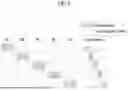 Fig. 08 - ELECTRONIC DEVICE FOR DETECTING DEFECT AND OPERATION METHOD THEREOF