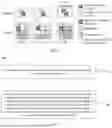 Fig. 02 - FUNCTION CACHE METHOD AND SYSTEM