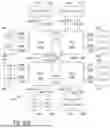 Fig. 31 - DMA Controller Architecture for Receiving Requests from Non-host Devices