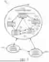 Fig. 06 - SEMANTICALLY GENERATED VIDEO METHOD AND SYSTEM
