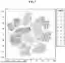 Fig. 06 - COMPUTER-READABLE RECORDING MEDIUM, TRAINING METHOD, AND INFORMATION PROCESSING DEVICE