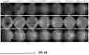 Fig. 07 - SYSTEMS AND METHODS FOR ENHANCING RETINAL COLOR FUNDUS IMAGES FOR RETINOPATHY ANALYSIS