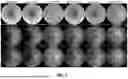 Fig. 09 - SYSTEMS AND METHODS FOR ENHANCING RETINAL COLOR FUNDUS IMAGES FOR RETINOPATHY ANALYSIS